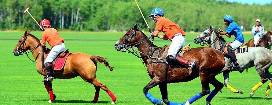 Çevgen / Polo Oyununun Tarihsel Gelişimi