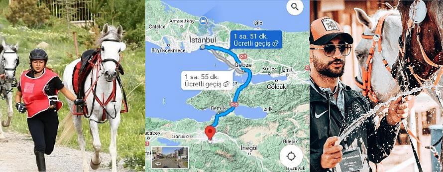 Atlı Dayanıklılık Yarışması